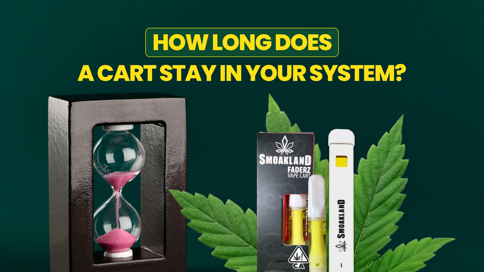 How Long Does a Cart Stay in Your System? Understanding Absorption and Detection
