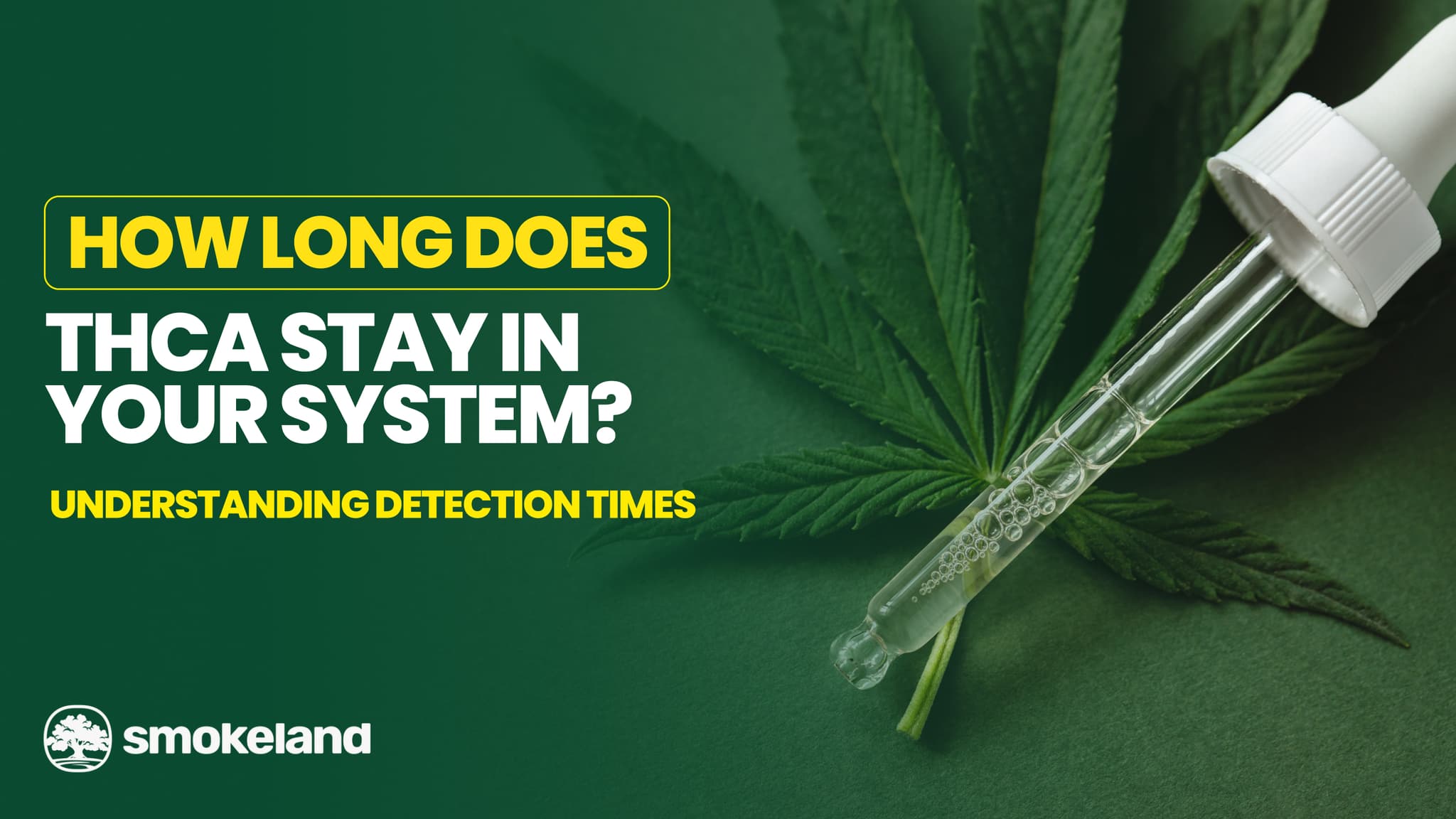 How Long Does THCA Stay in Your System? Understanding Detection Times