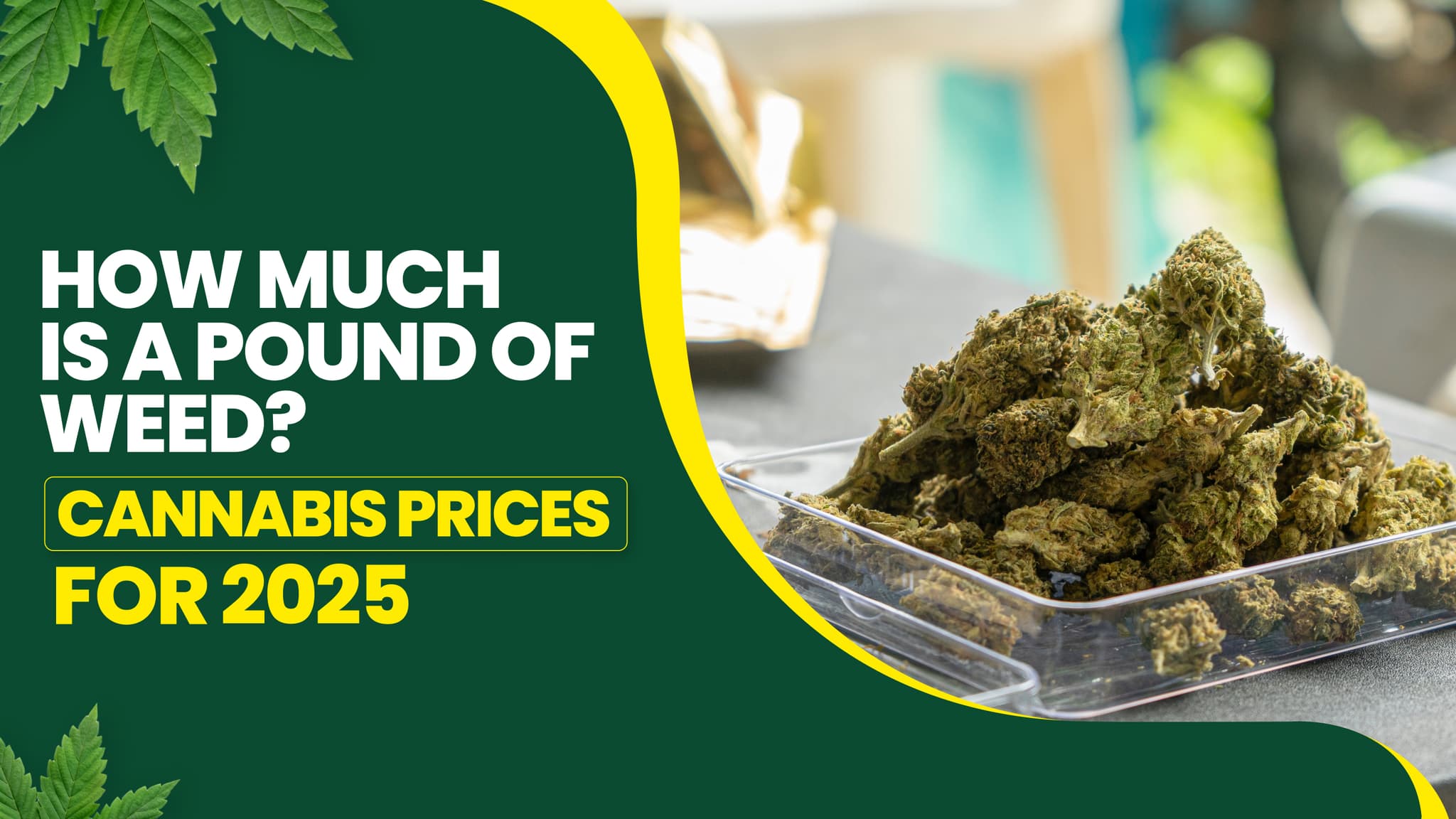 How Much Is a Pound of Weed Worth in 2025? Prices by State & Legality