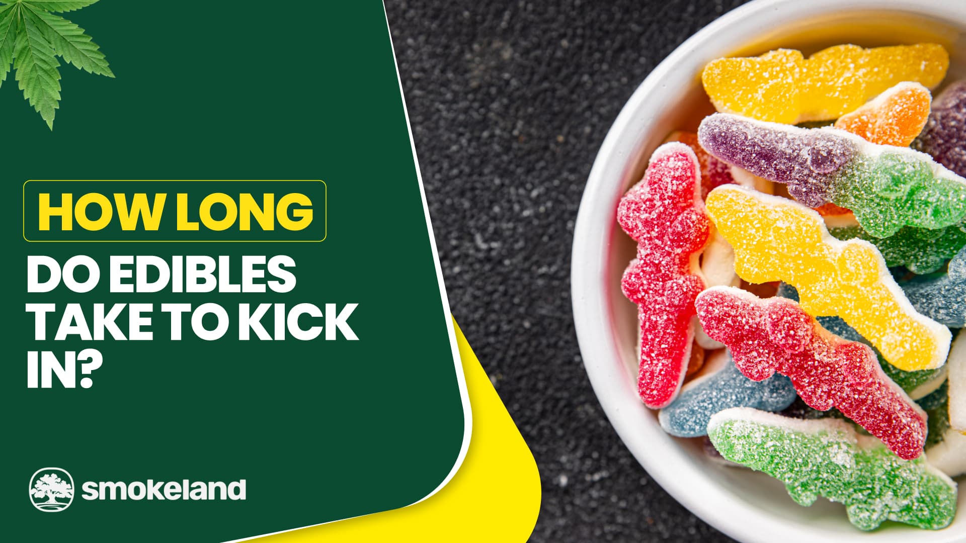 How Long Do Edibles Take to Kick In?