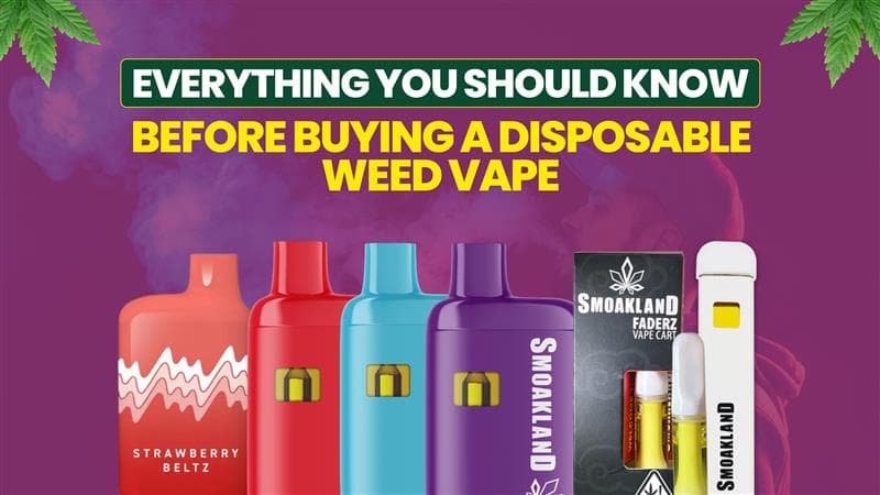 Everything You Should Know Before Buying a Disposable Weed Vape