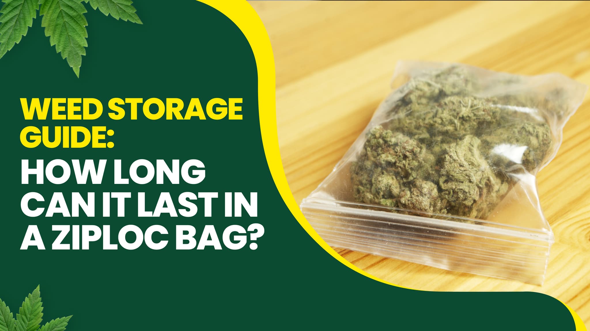Weed Storage Guide: How Long Can It Last in a Ziploc Bag?