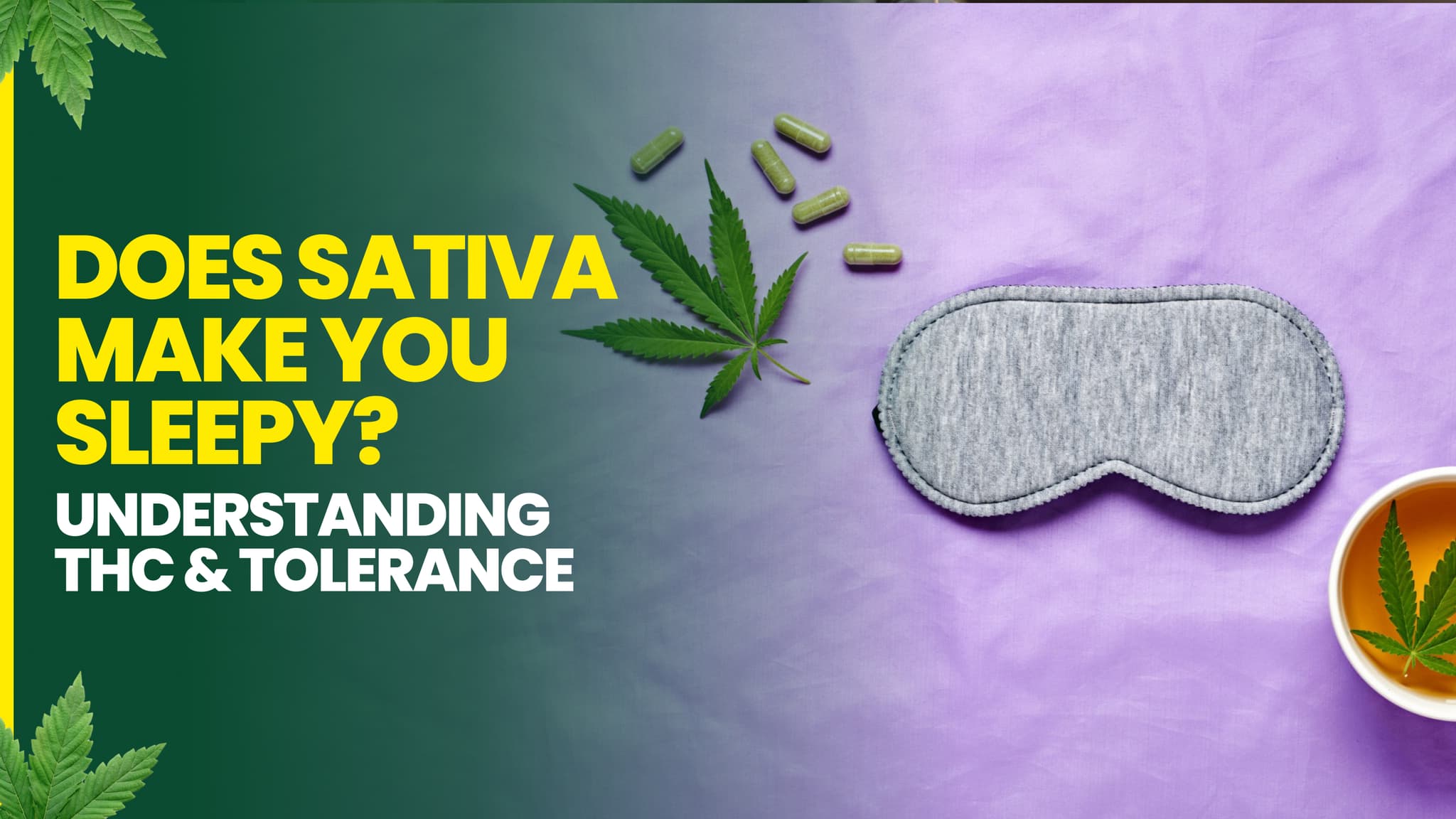 Does sativa make you sleepy? Understanding THC & Tolerance
