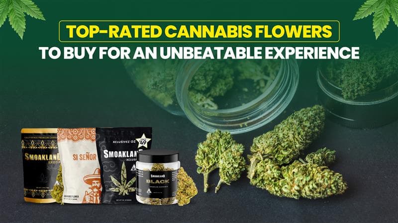 Top-Rated Cannabis Flowers to Buy for an Unbeatable Experience
