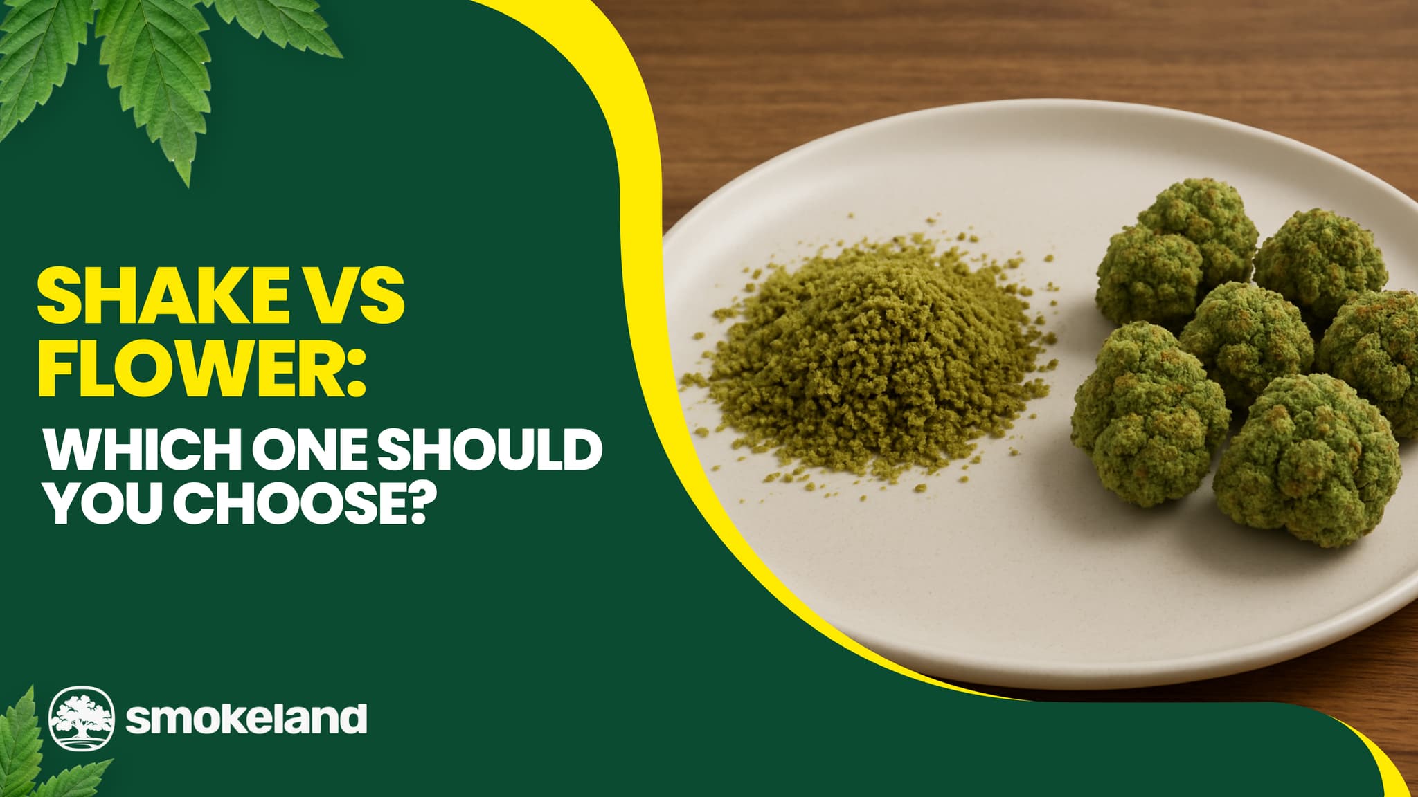 Shake vs Flower: Which One Should You Choose?