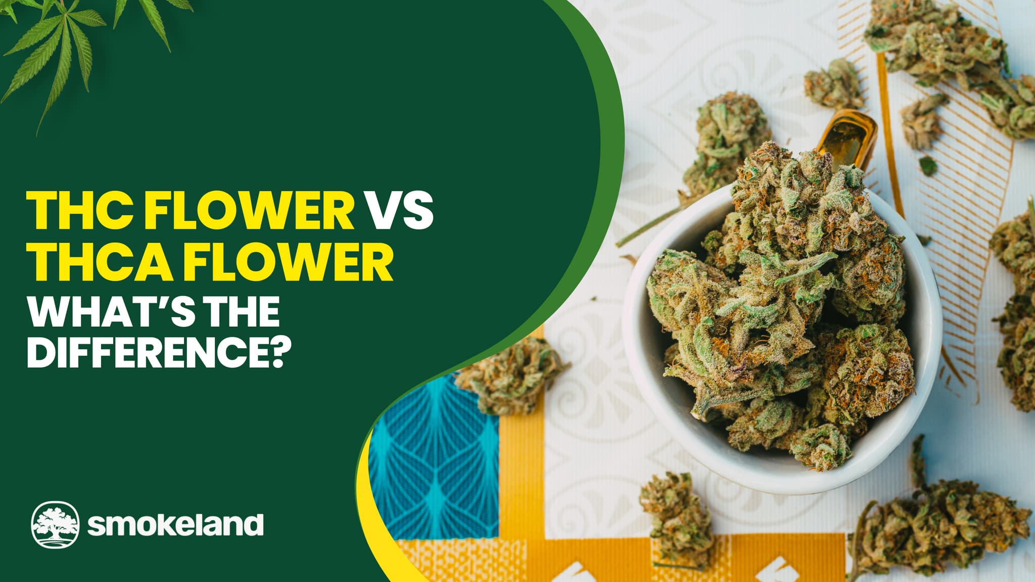 THC Flower vs THCA Flower: What’s the Difference?