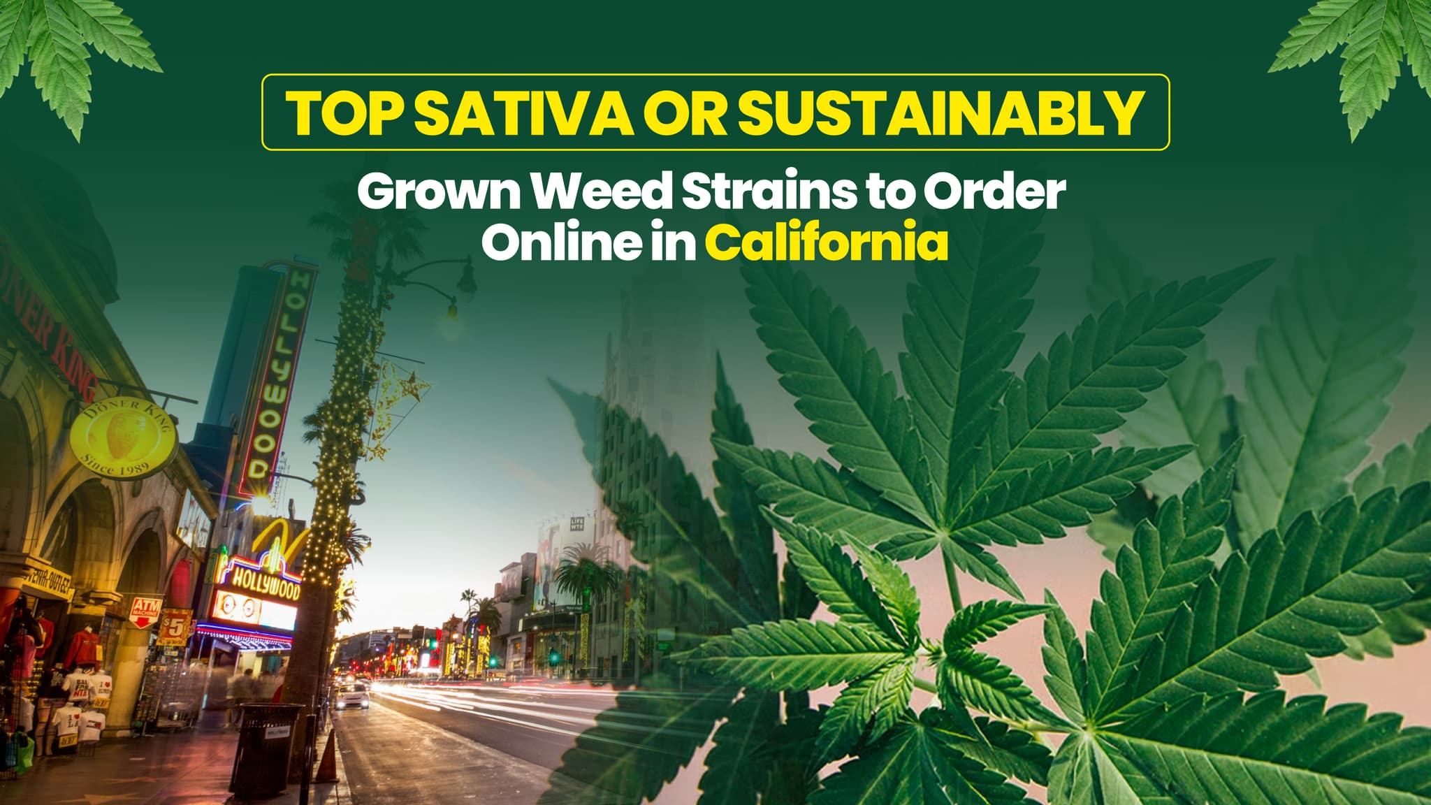 Top Sativa or sustainably grown Weed Strains to Order Online in California