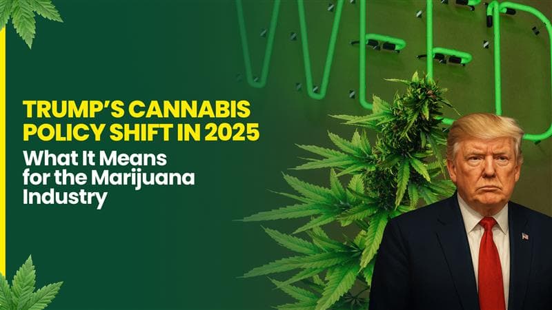 Trump’s Cannabis Policy Shift in 2025: What It Means for the Marijuana Industry