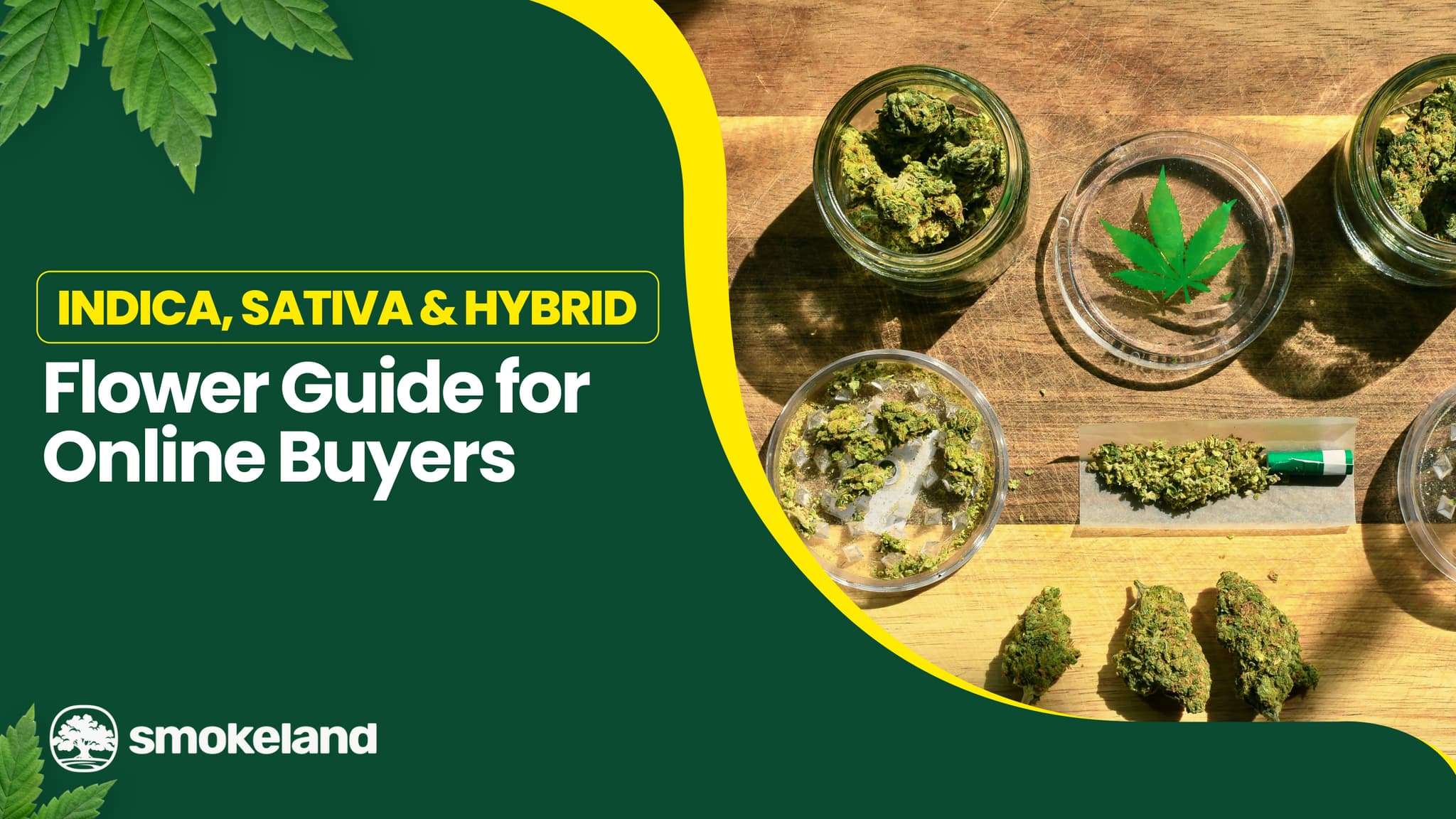 Indica, Sativa & Hybrid Flower Guide for Online Buyers