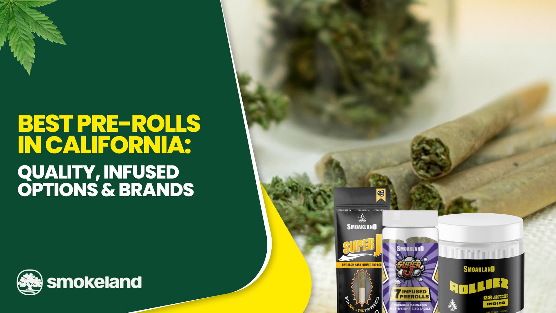 Best Pre-Rolls in California: Quality, Infused Options & Brands