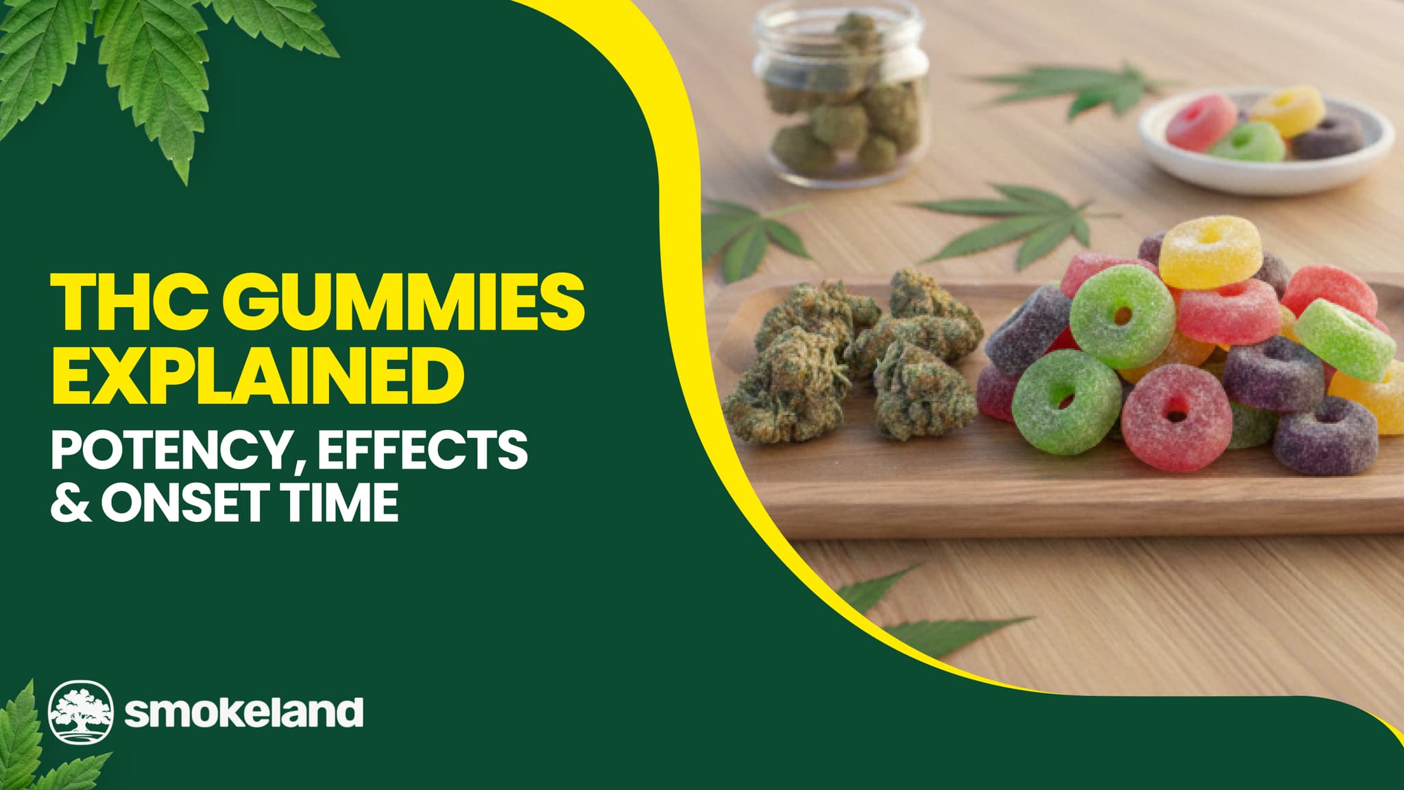 THC Gummies Explained: Potency, Effects & Onset Time