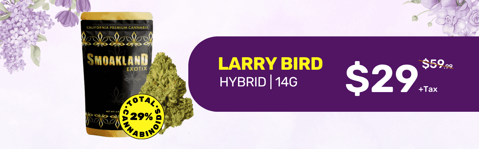 Banner cmn0gfehnqxxd08n4oczmokxn