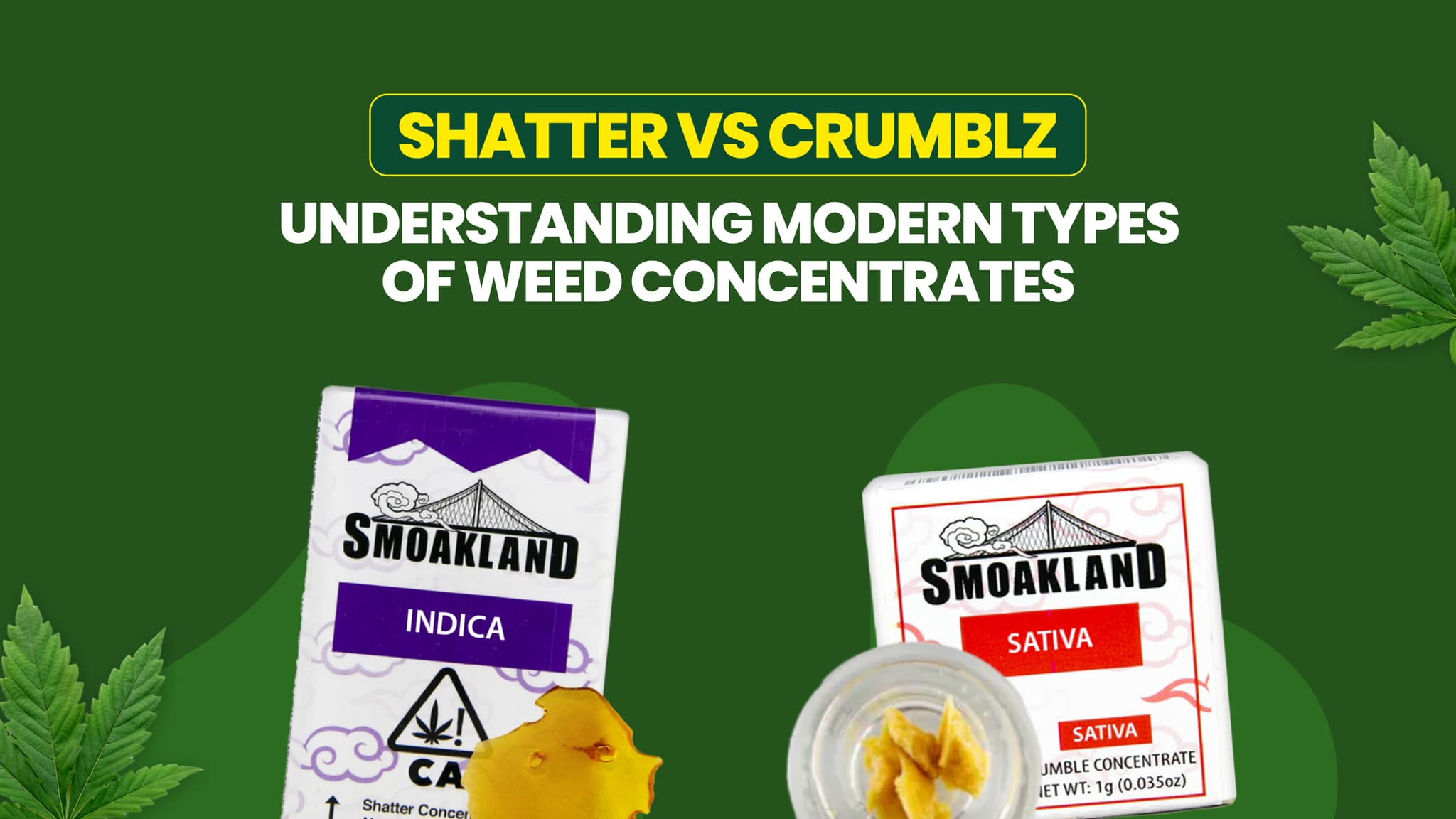 Shatter vs Crumblz: Understanding Modern Types of Weed Concentrates