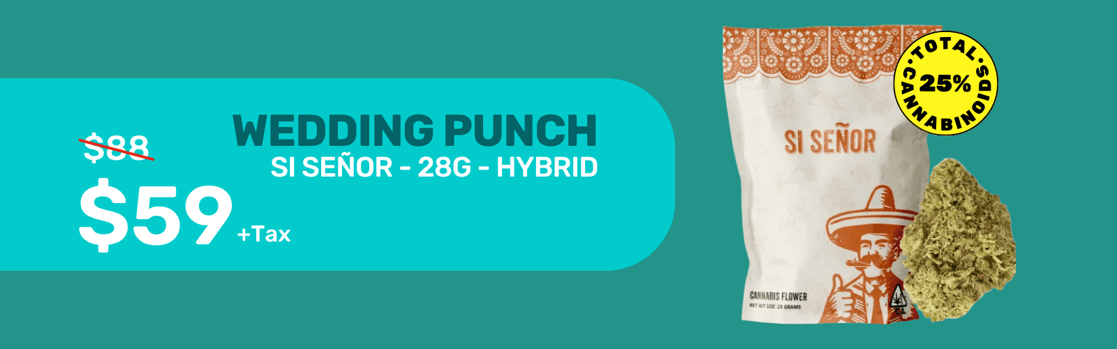 Banner cmn8fywlth3p307lqriznj1tl