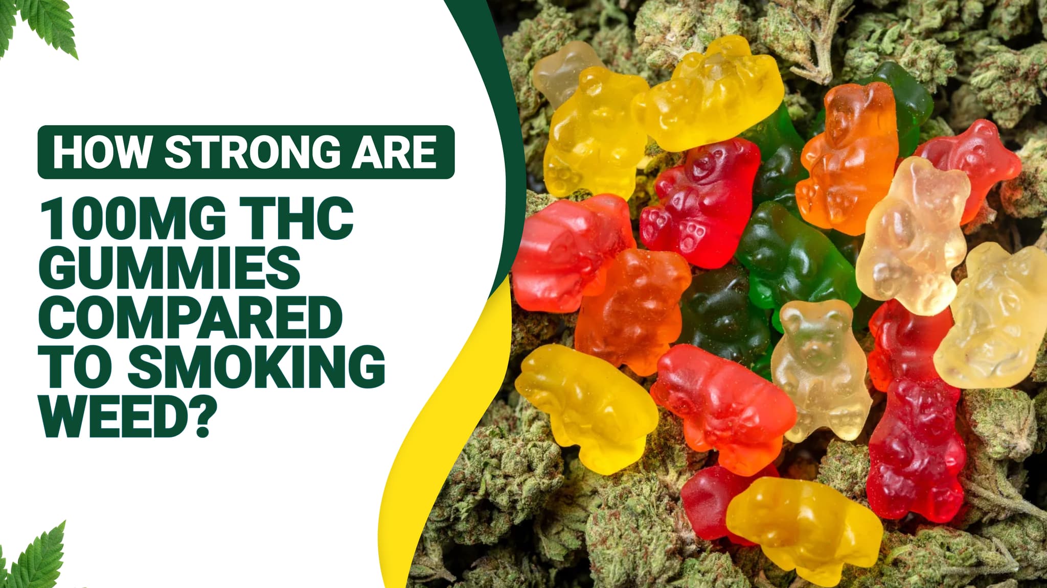 How Strong Are 100mg THC Gummies Compared to Smoking Weed?