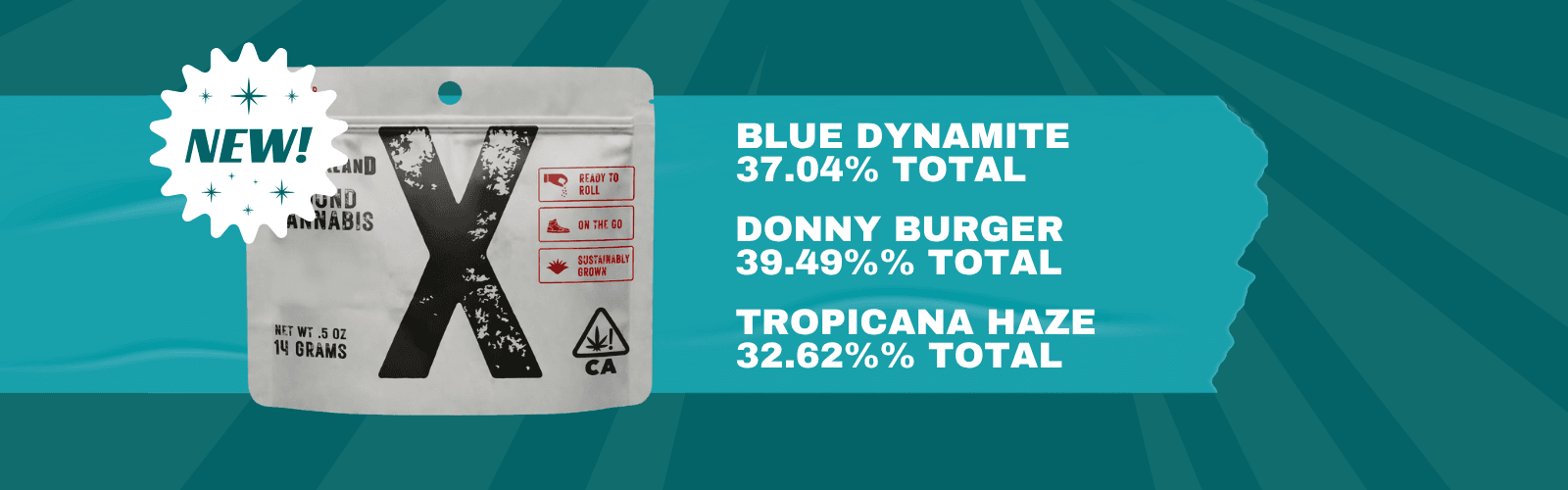 Banner cmnnd4h858qml07n2v5dikt1w