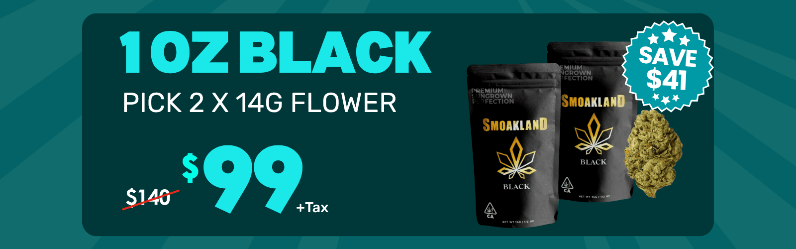 Banner cmntb66b79ye307mxpkypa9rv