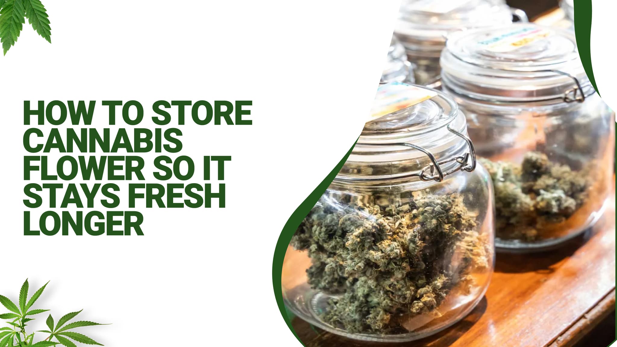 How to store cannabis flower so it stays fresh longer