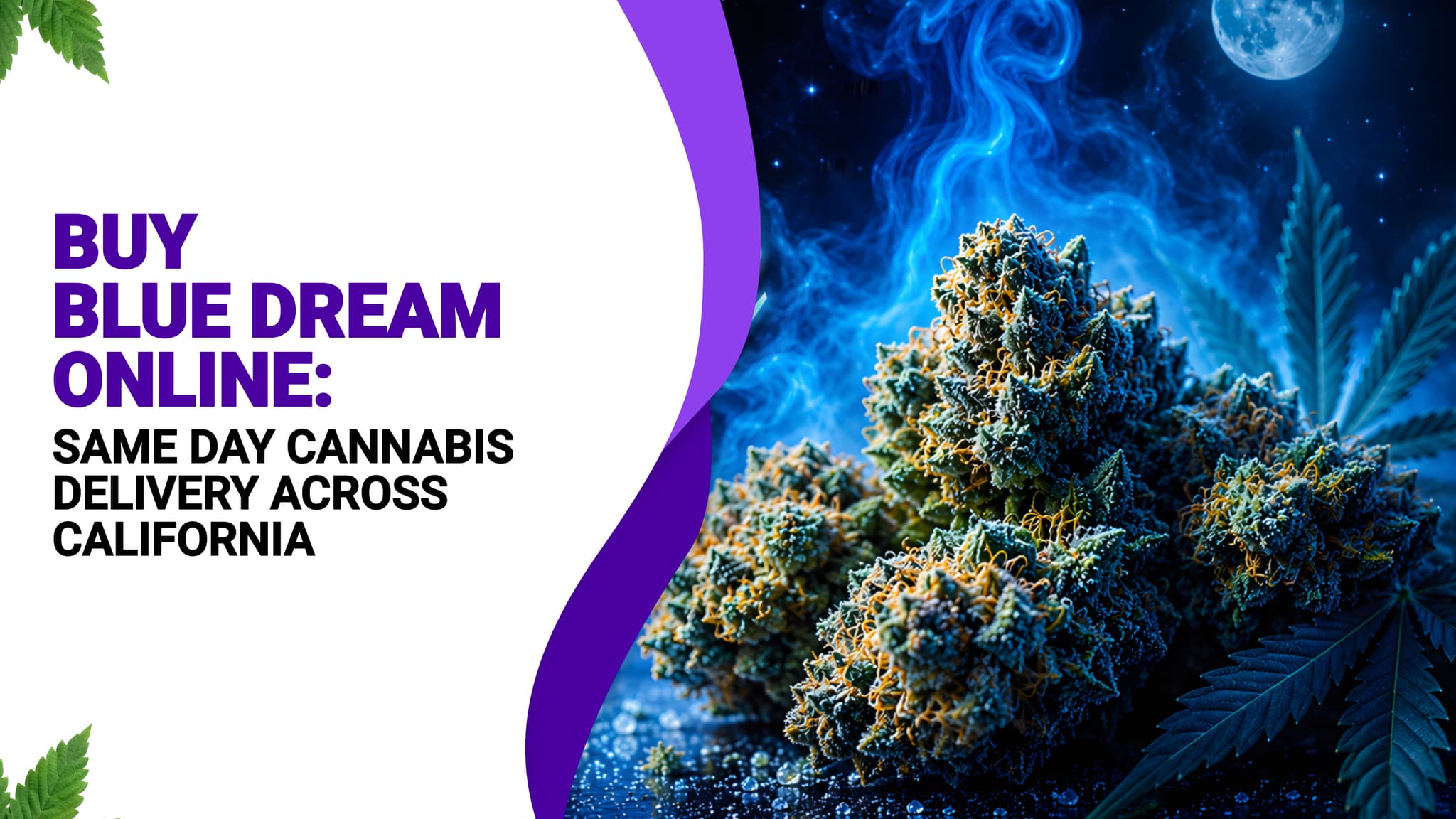 Buy Blue Dream Online: Same Day Cannabis Delivery Across California