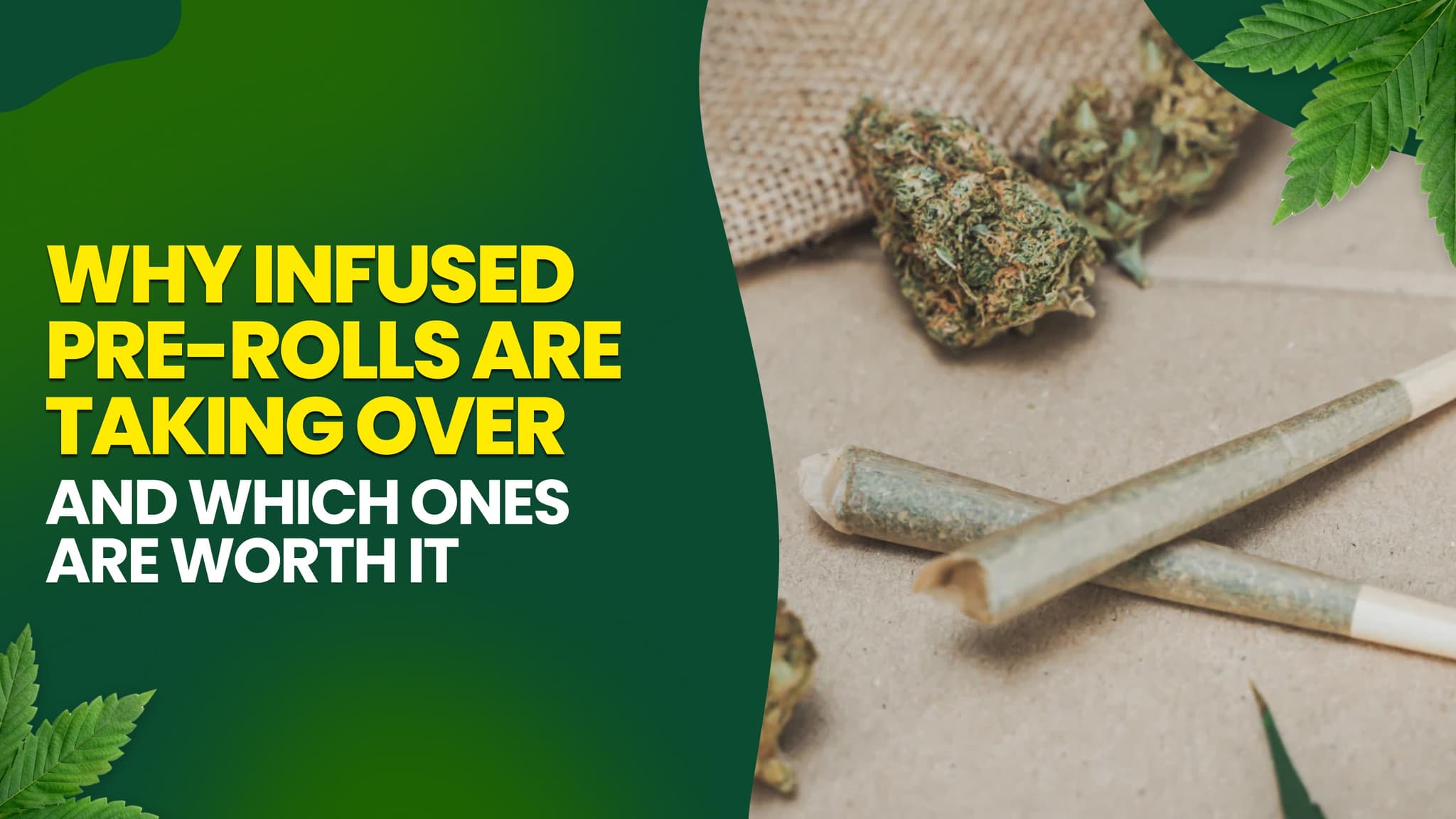 Why Infused Pre-Rolls Are Taking Over in 2026 & Which Ones Are Worth It