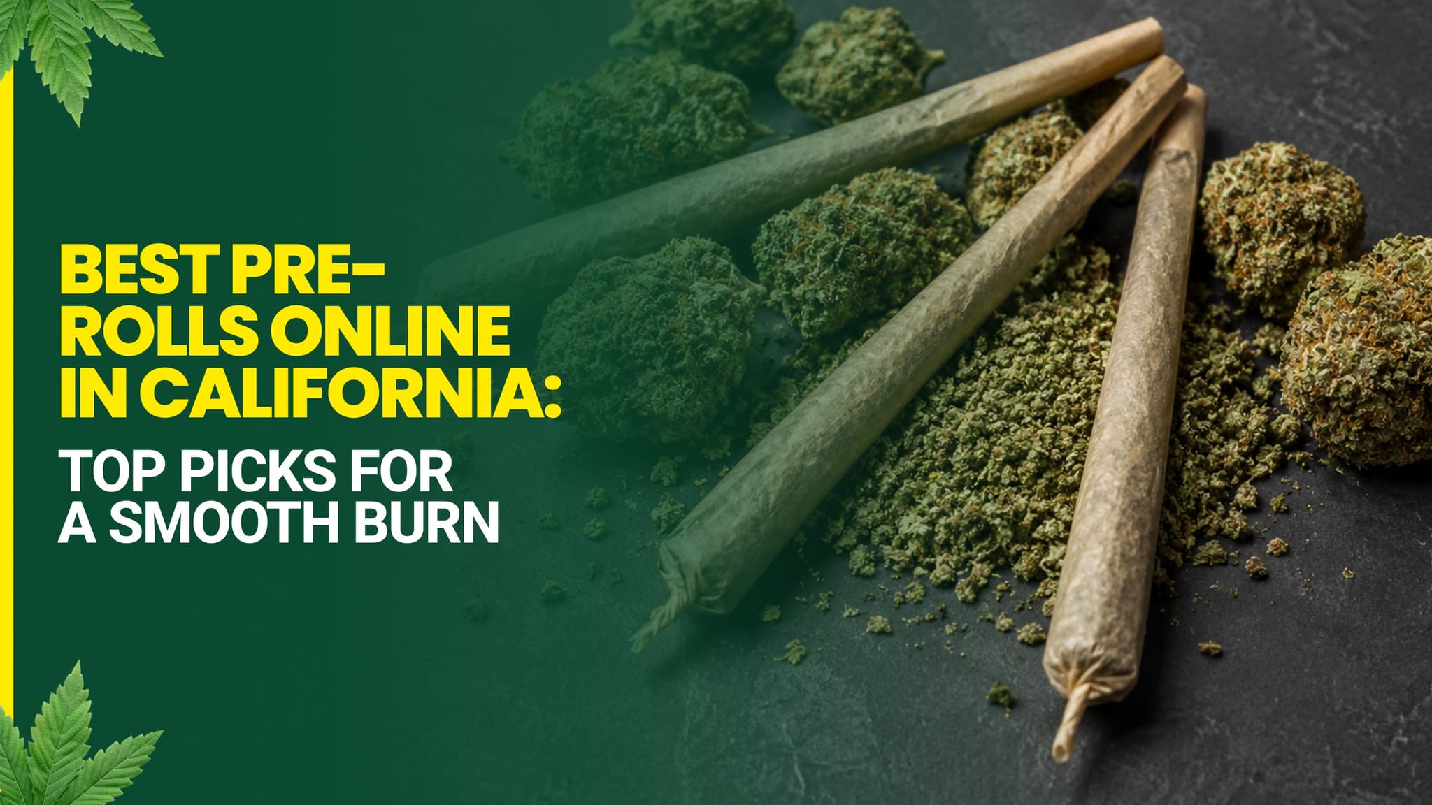 Best Pre-Rolls Online in California: Top Picks for a Smooth Burn 2026