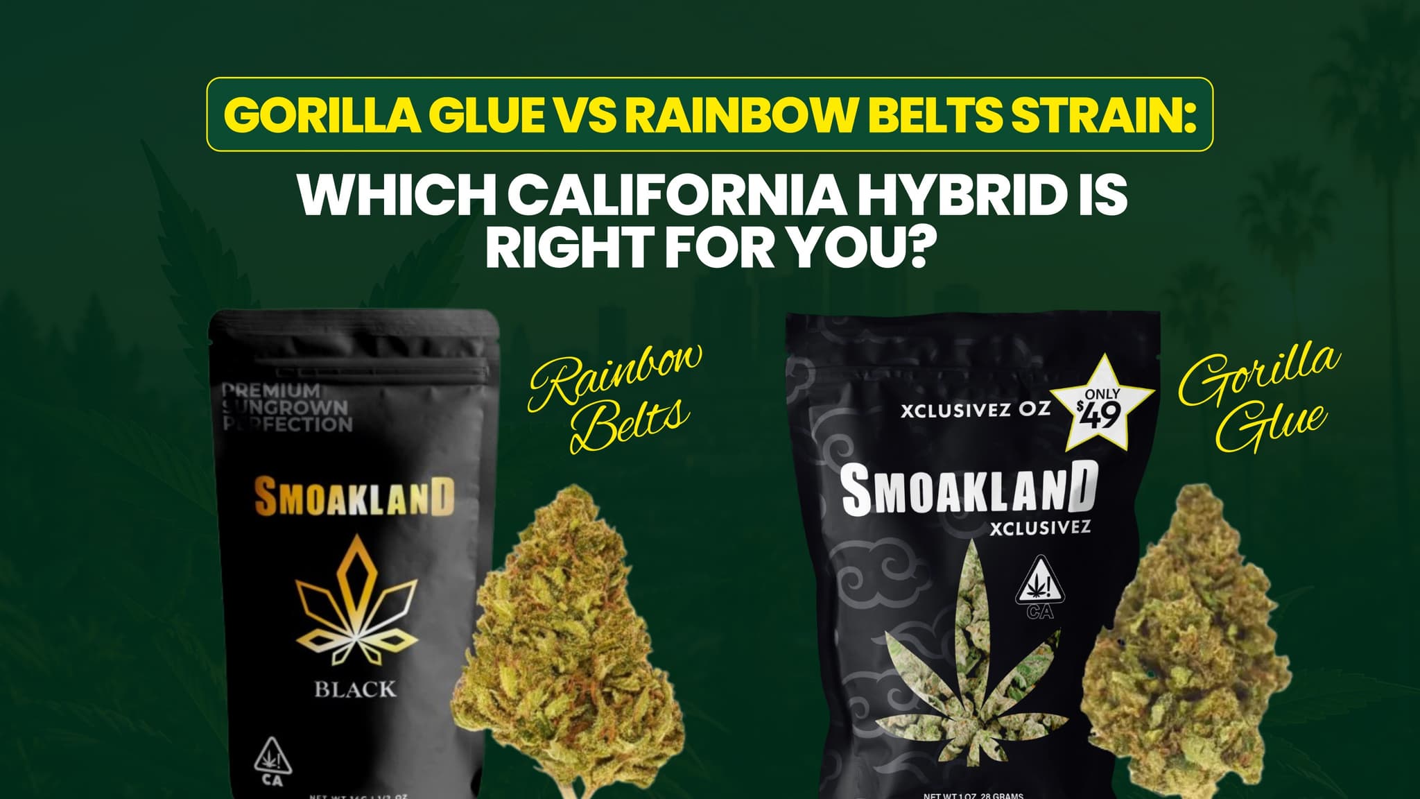Gorilla Glue vs Rainbow Belts Strain: Which California Hybrid Is Right for You?