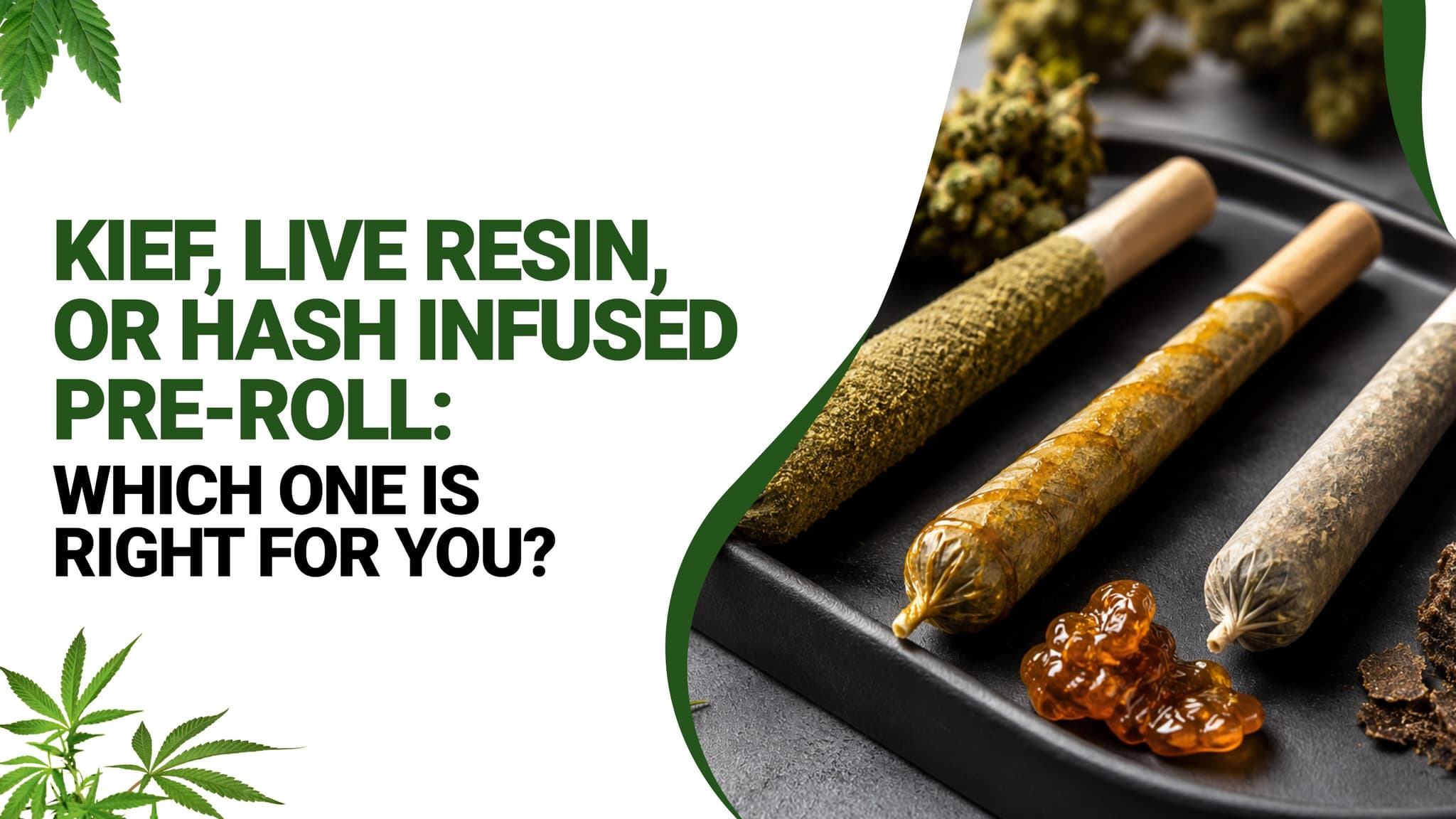 Kief, Live Resin, or Hash Infused Pre-Roll: Which One Is Right for You?