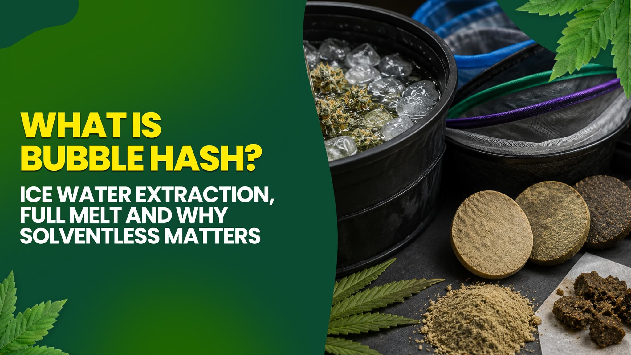 What Is Bubble Hash? Ice Water Extraction, Full Melt and Why Solventless Matters