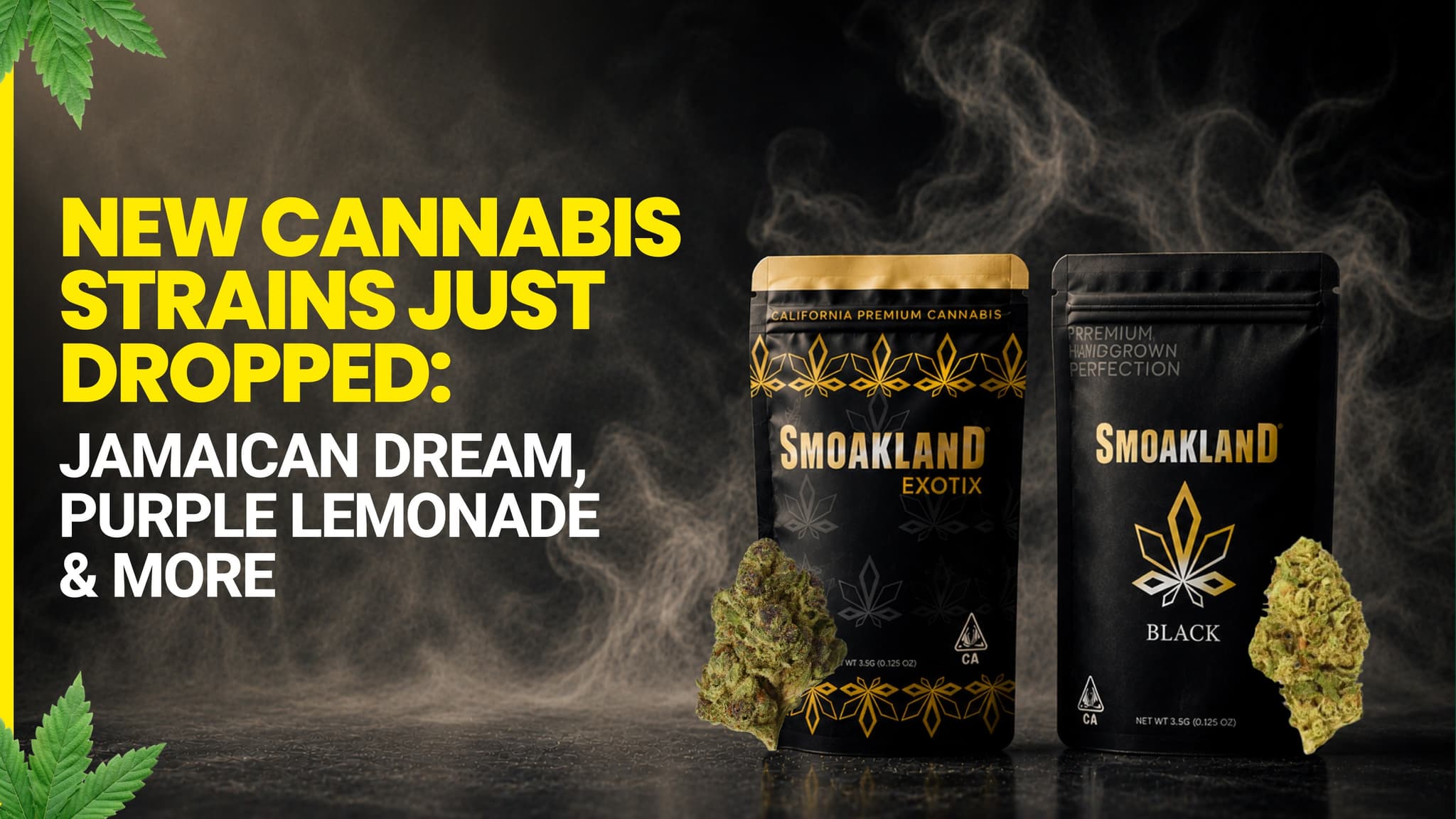 New Cannabis Strains Just Dropped: Jamaican Dream, Purple Lemonade & More