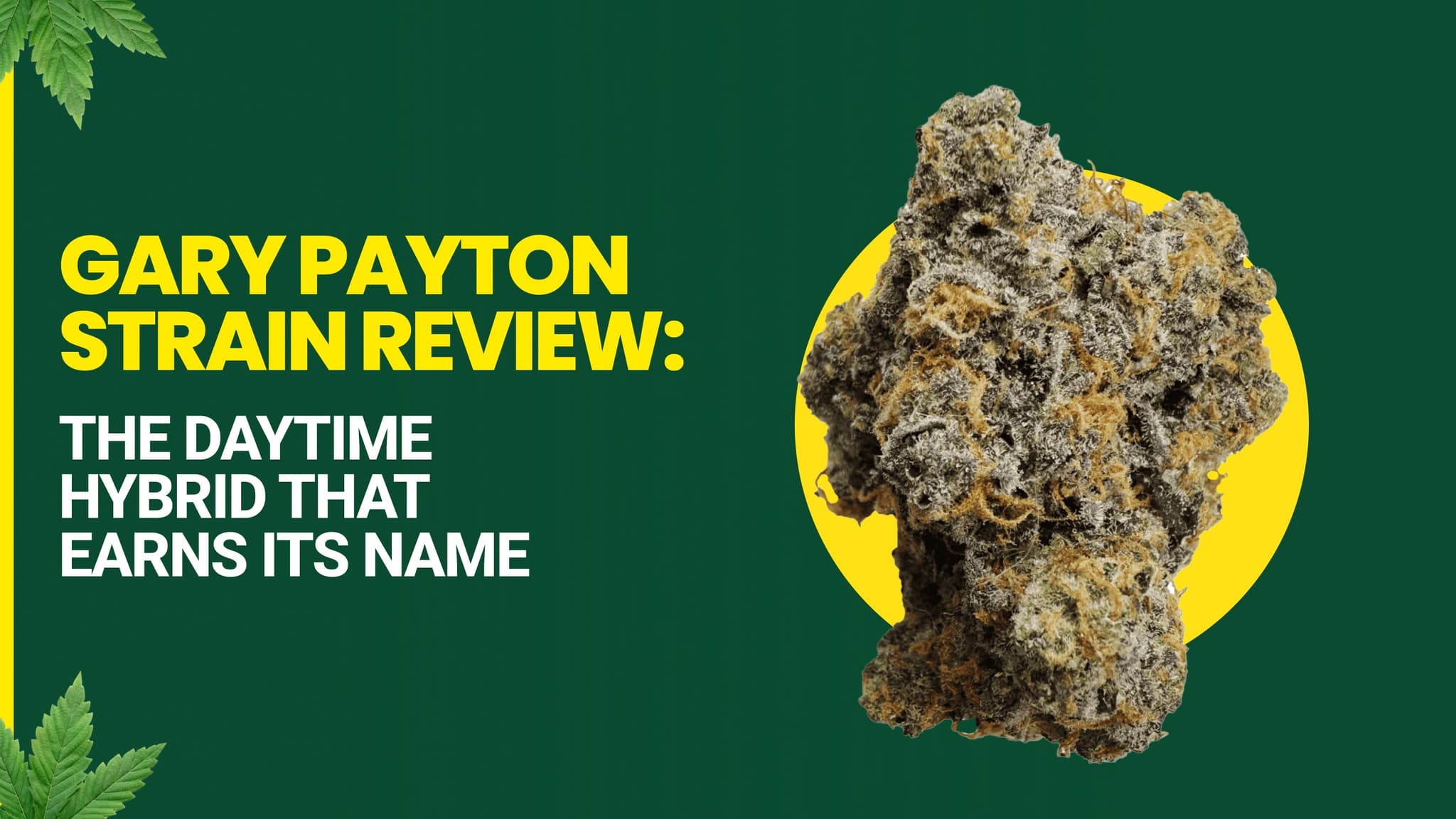 Gary Payton Strain Review 2026: The Daytime Hybrid That Earns Its Name