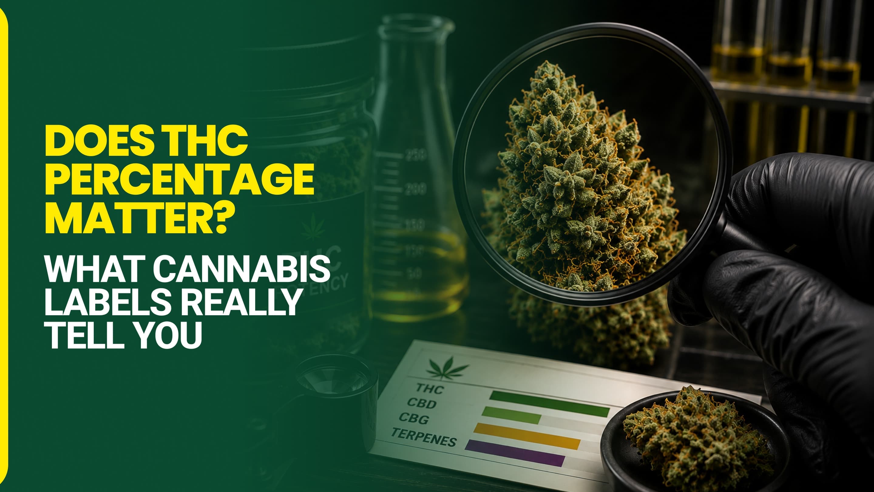 Does THC Percentage Matter? What Cannabis Labels Really Tell You