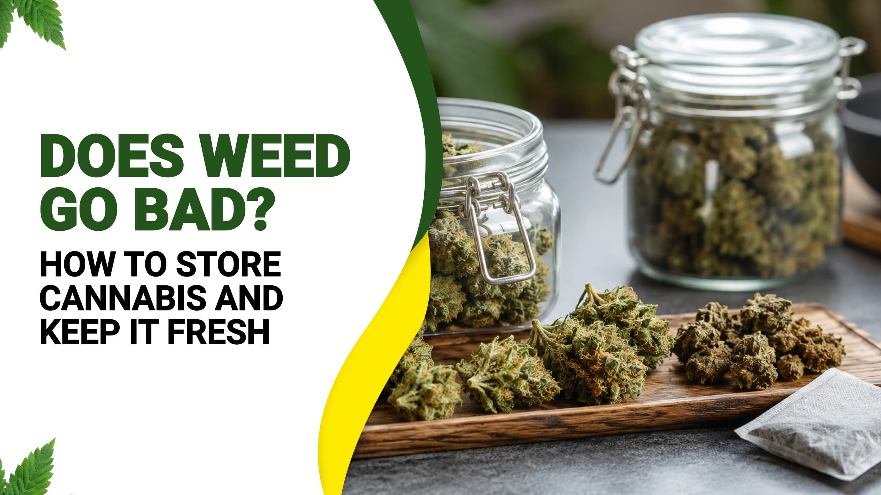 Does Weed Go Bad? How to Store Cannabis and Keep It Fresh