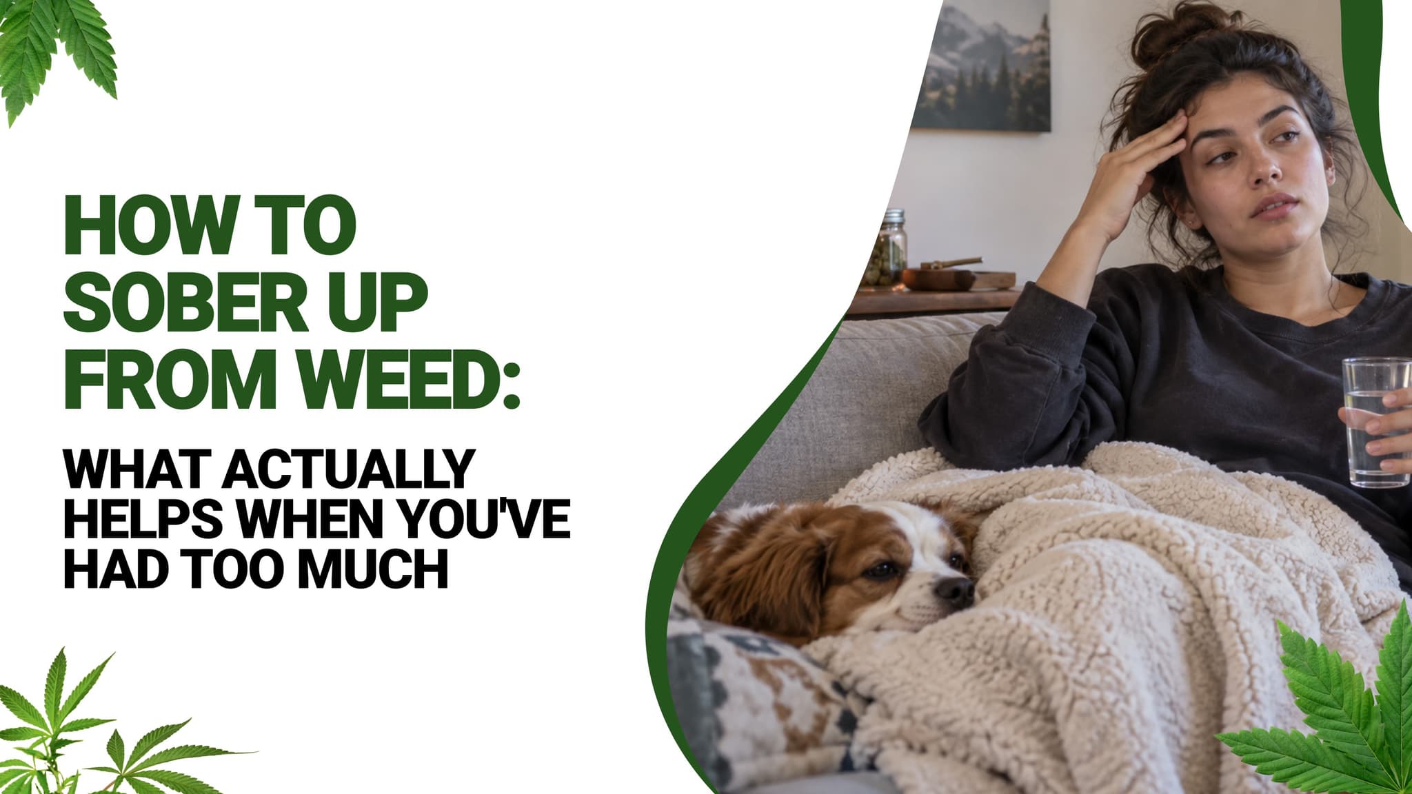 How to Sober Up From Weed: What Actually Helps When You've Had Too Much
