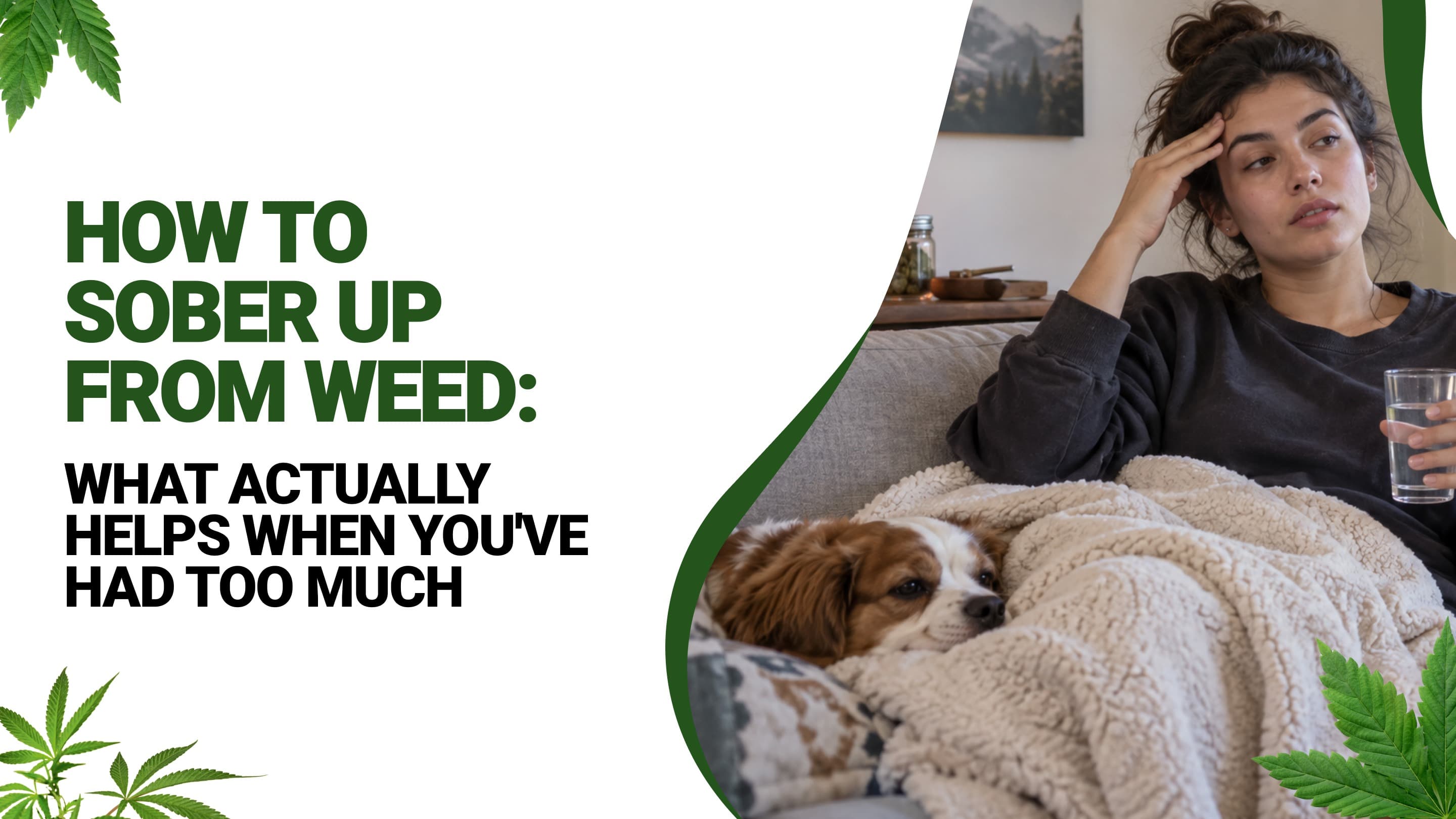 How to Sober Up From Weed: What Actually Helps When You've Had Too Much