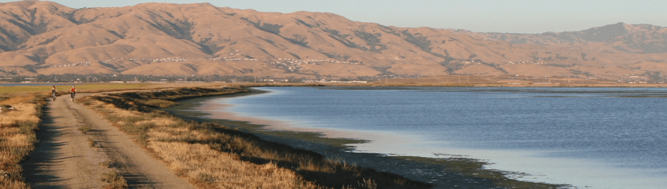 View of the Bay Area