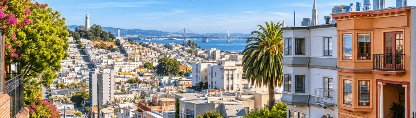 View of the Bay Area