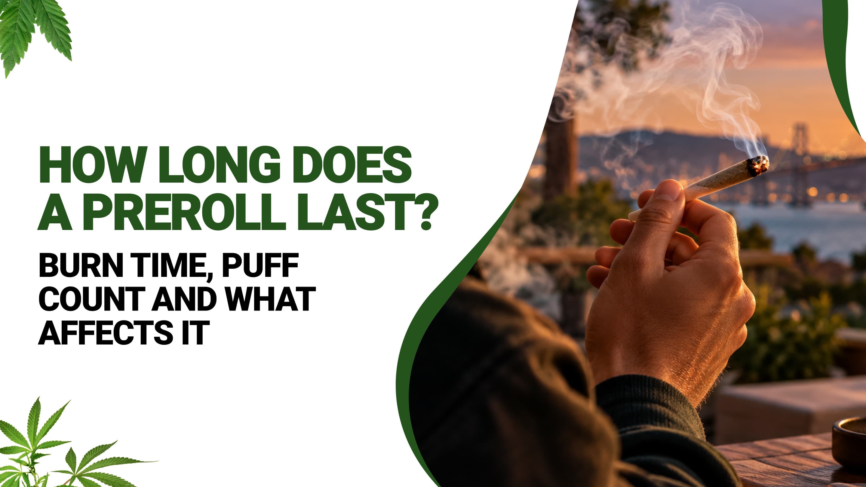 How Long Does a Preroll Last? Burn Time, Puff Count and What Affects It
