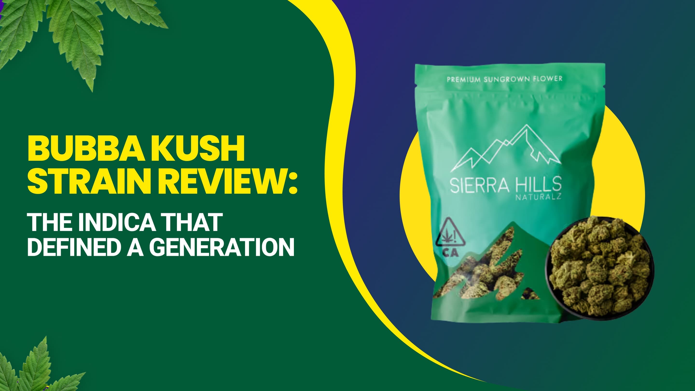 Bubba Kush Strain Review: The Indica That Defined a Generation