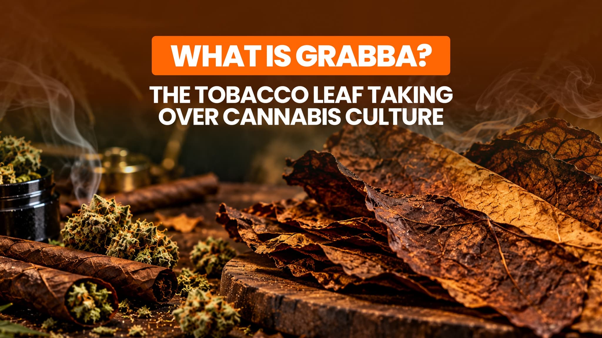 What Is Grabba? The Tobacco Leaf in Cannabis Culture Explained