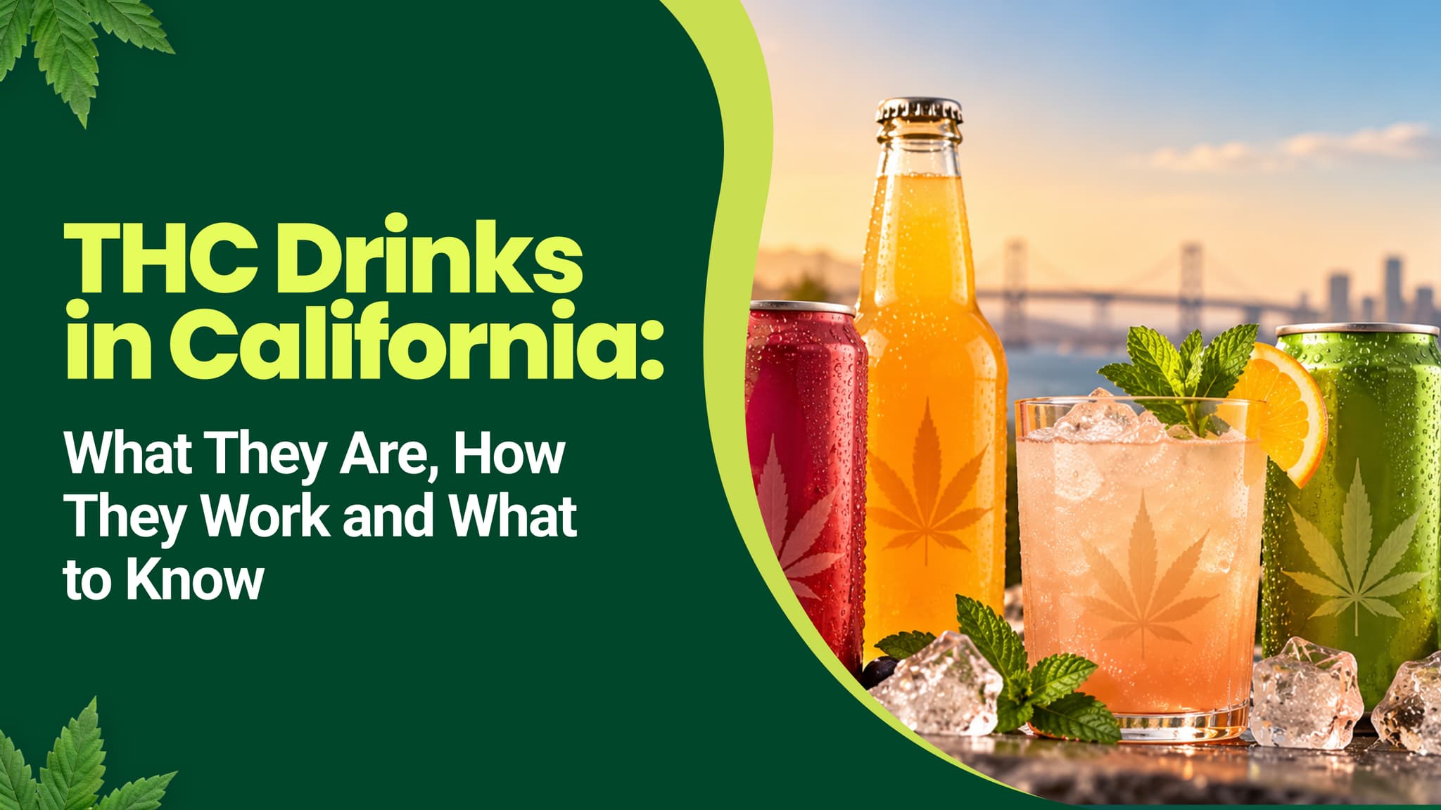THC Drinks in California: What They Are and How They Work