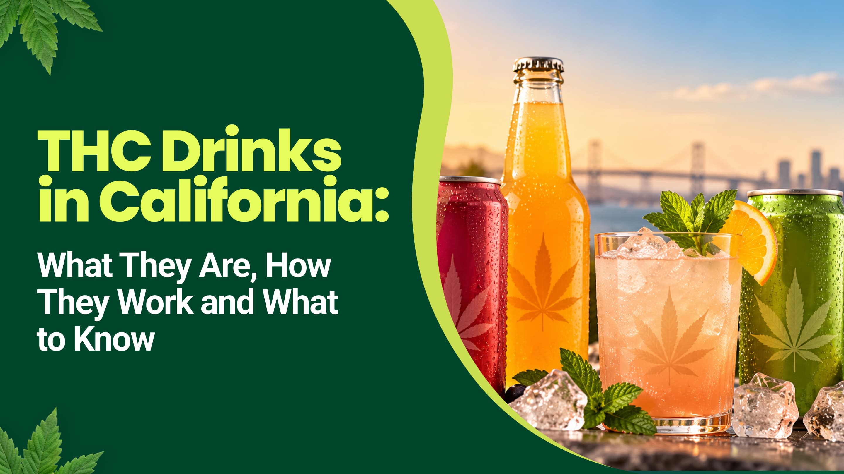 THC Drinks in California: What They Are and How They Work
