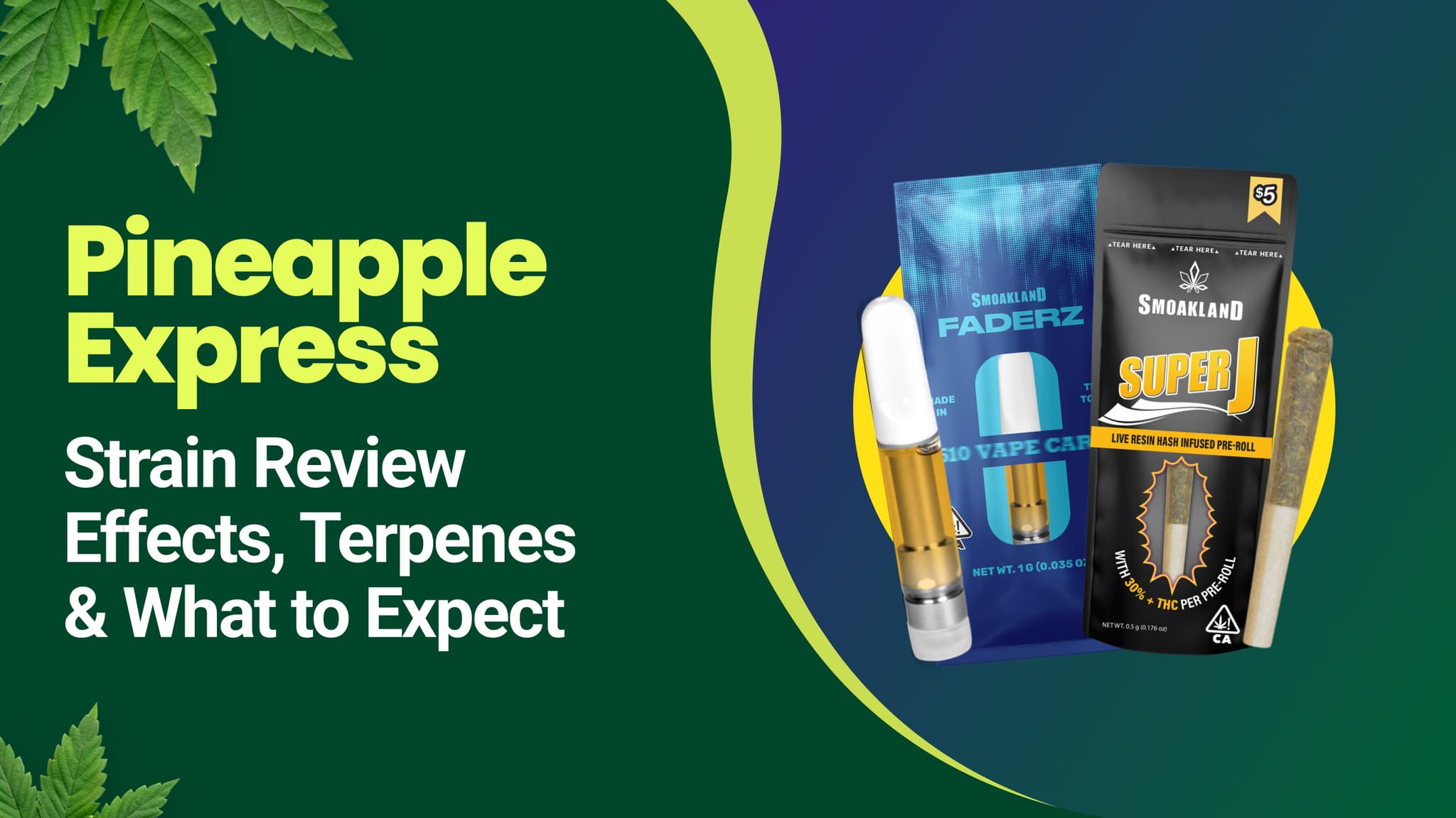 Pineapple Express Strain Review: Effects, Terpenes & What to Expect