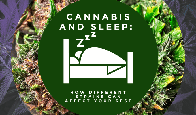 Cannabis and Sleep: How Different Strains Can Affect Your Rest