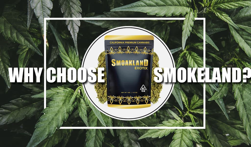 Why Opt for Smoakland When Purchasing Cannabis in California?