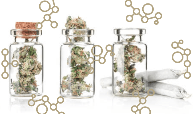 THCa vs THC