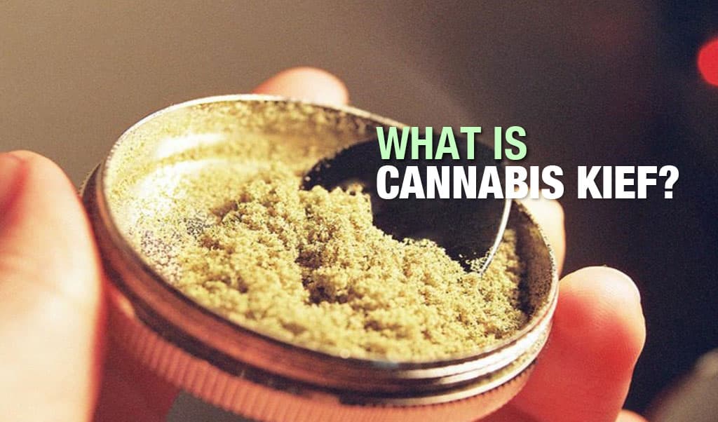 What is Cannabis Kief & How to use Kief?