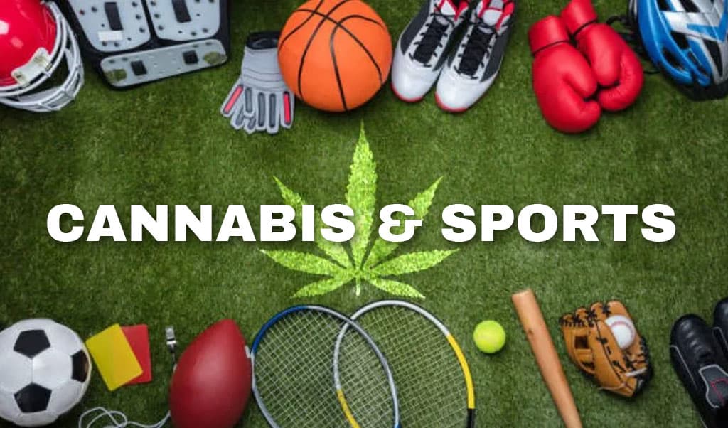 Cannabis and Sports: Exploring the Relationship Between Marijuana and Athletic Performance