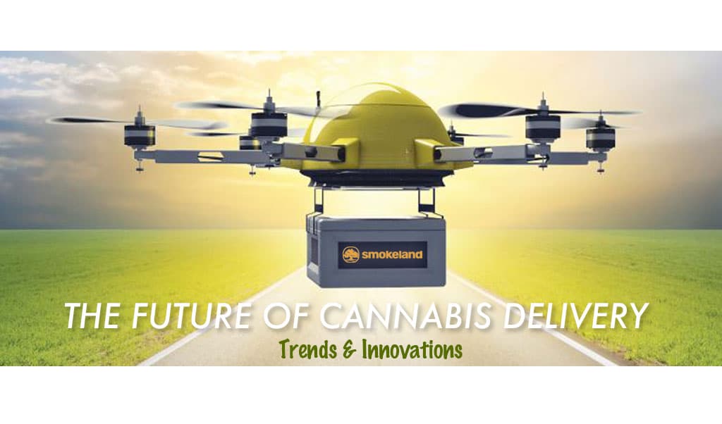 The Future of Cannabis Delivery: Trends and Innovations