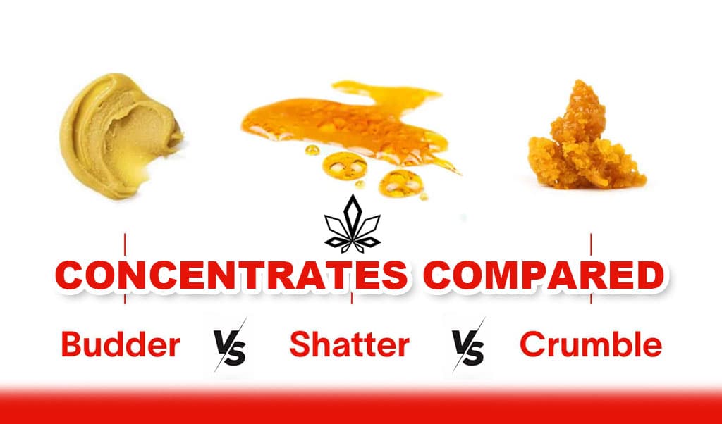 Concentrates Compared: Budder vs Shatter vs Crumble