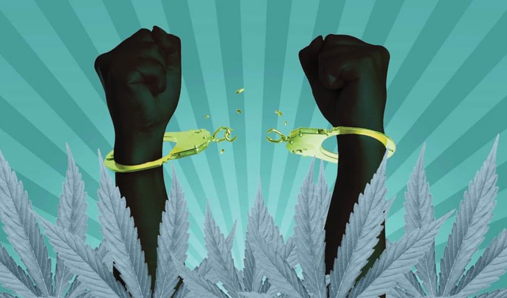 Cannabis and Social Justice: Examining the Impact of Drug Policies on Communities